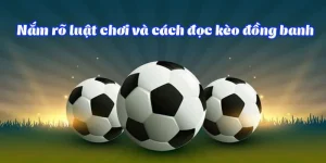 Keo chap dong banh 8xbet